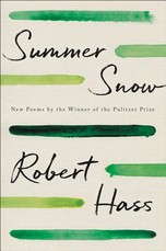 Summer Snow