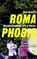 Romaphobia