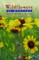 Wildflowers of Montana