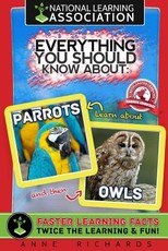 Everything You Should Know About