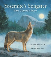 Yosemite's Songster