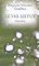Lėtas lietus