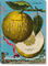 J. C. Volkamer. The Book of Citrus Fruits