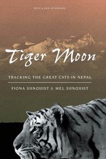 Tiger Moon