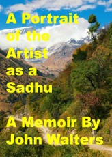 Portrait of the Artist as a Sadhu