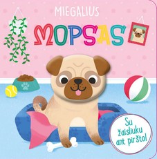 Miegalius mopsas. Su žaisliuku ant piršto