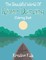 The Beautiful World of River Dancing Coloring Book