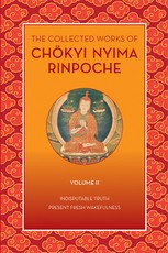 The Collected Works of ChÃ¶kyi Nyima Rinpoche, Volume II