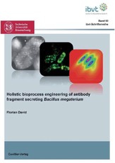 Holistic bioprocess engineering of antibody fragment secreting Bacillus megaterium