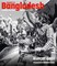 Homage to Bangladesh