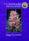 The Cannabis Encyclopedia