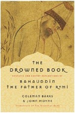 The Drowned Book