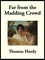 Far from the Madding Crowd