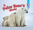 A Polar Bear's World