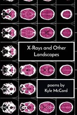 X-Rays and Other Landscapes