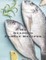 My Seafood Family Cookbook