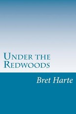 Under the Redwoods