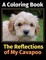 The Reflections of My Cavapoo