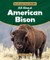 All about American Bison