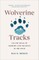 Wolverine Tracks
