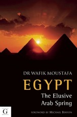 Egypt-The Elusive Arab Spring
