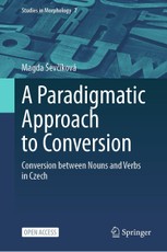 A Paradigmatic Approach to Conversion