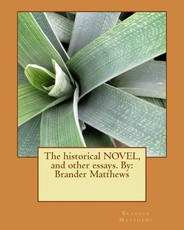 The historical NOVEL, and other essays. By