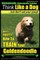 Goldendoodle, Goldendoodle Training - Think Like a Dog But Don't Eat Your Poop!