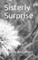 Sisterly Surprise