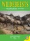 Wildebeest: A Savanna Journey
