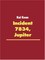Incident 7834, Jupiter