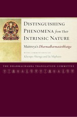 Distinguishing Phenomena from Their Intrinsic Nature