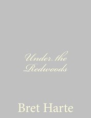 Under the Redwoods