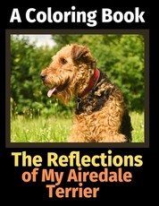 The Reflections of My Airedale Terrier