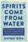 Spirits Come from Water