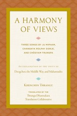 A Harmony of Views