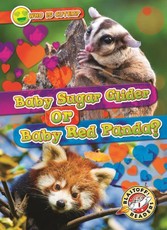 Baby Sugar Glider or Baby Red Panda?