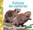 Colonia de Castores (Beaver Colony)