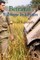 Betrayal