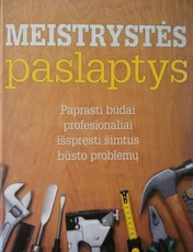 Meistrystės paslaptys