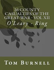 26 County Casualties of the Great War Volume XII