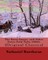 The Snow-Image, and Other Twice-Told Tales (1852). By