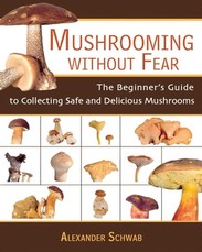 Mushrooming Without Fear