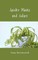 Spider Plants and Solace