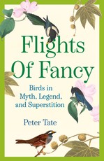 Flights of Fancy
