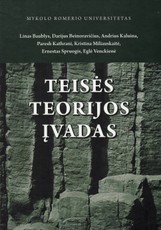Teisės teorijos įvadas