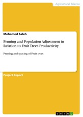 Pruning and Population Adjustment in Relation to Fruit Trees Productivity