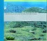 The Granite Landscape