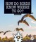 How Do Birds Know Where to Go?
