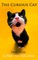 Curious Cat: A Trip to the Zoo